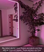IMG_1481.jpeg