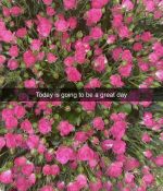 IMG_4066.jpeg