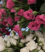 IMG_4069.jpeg