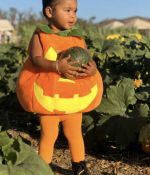 IMG_4206.jpeg