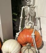 IMG_4209.jpeg
