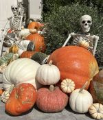 IMG_4210.jpeg