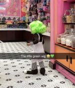 IMG_4220.jpeg