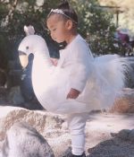 IMG_4243.jpeg