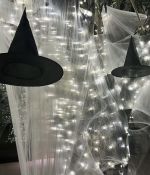 IMG_4618.jpeg