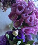 IMG_6501.jpeg