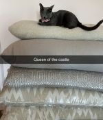 IMG_6520.jpeg