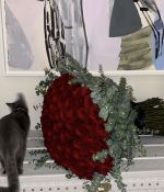 IMG_6529.jpeg
