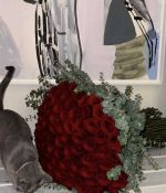 IMG_6530.jpeg