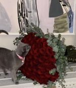 IMG_6531.jpeg