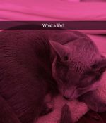 IMG_6547.jpeg