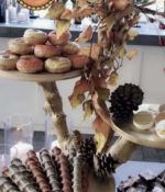 IMG_6601.jpeg