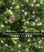 IMG_7068.jpeg