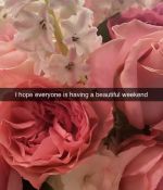 IMG_7120.jpeg
