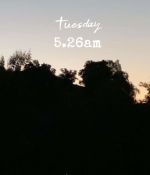 IMG_8081.jpeg