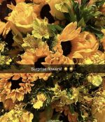 IMG_9960.jpeg