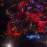 1E5FD41C-C535-4B49-A066-9E41B03EF072.jpeg