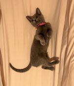 IMG_6054.jpeg