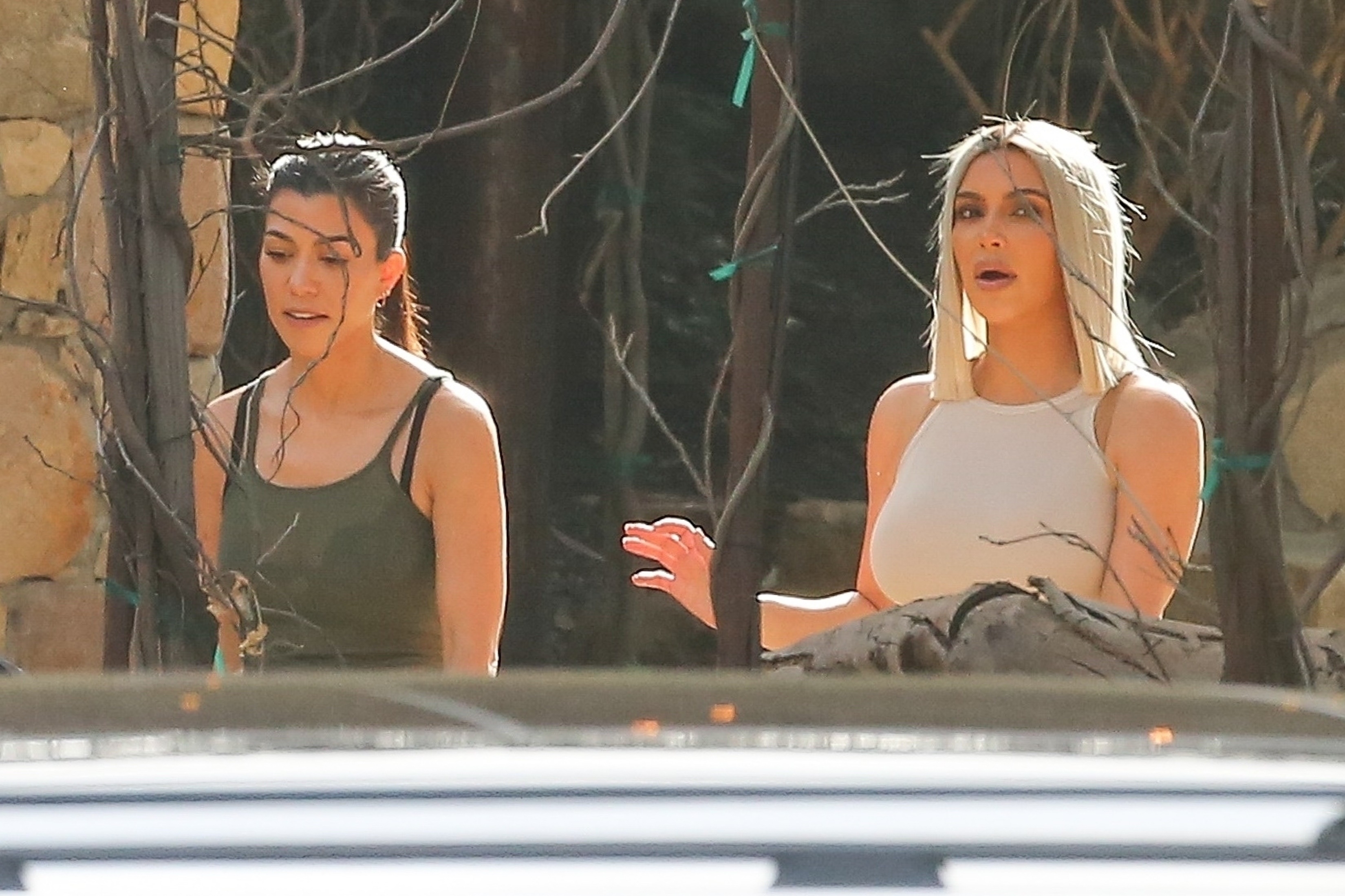 Access_Kardashian_03.jpg
