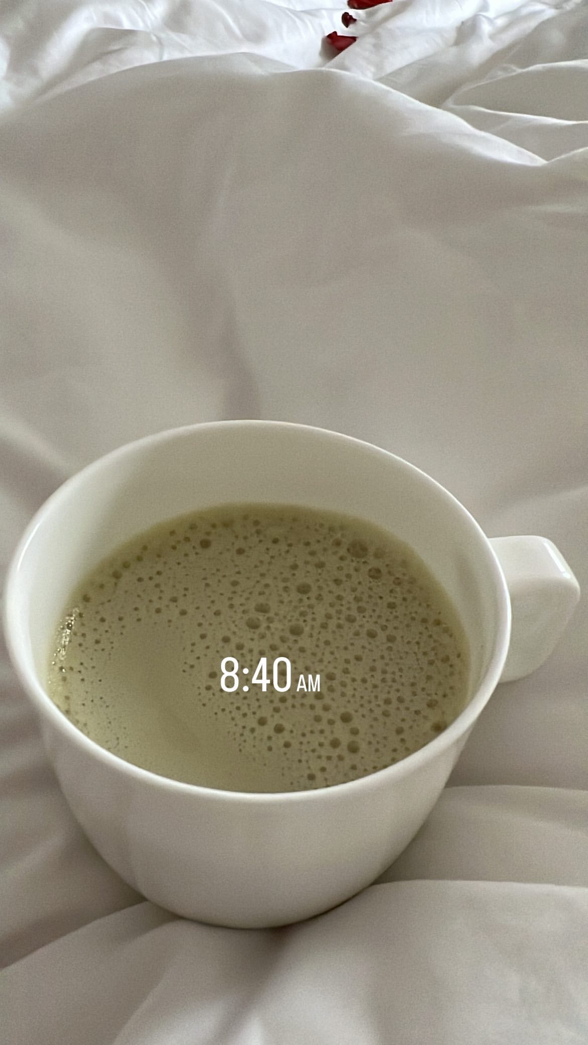 E8D7537E-20B9-4744-870E-4A3A0011F26B.jpeg