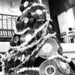 26F01D7E-8675-4B63-AC51-D99EDAE18994.jpeg
