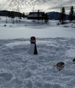 IMG_20240215_102320_159.jpg