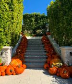 Access_Kardashian_60.jpg