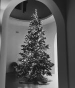 IMG_0723.jpeg