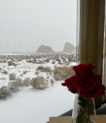 IMG_20240214_004559_325.jpg