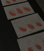 1000078763.jpg