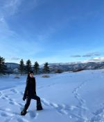 IMG_2290.jpeg