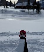 IMG_2595.jpeg