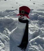 IMG_2601.jpeg