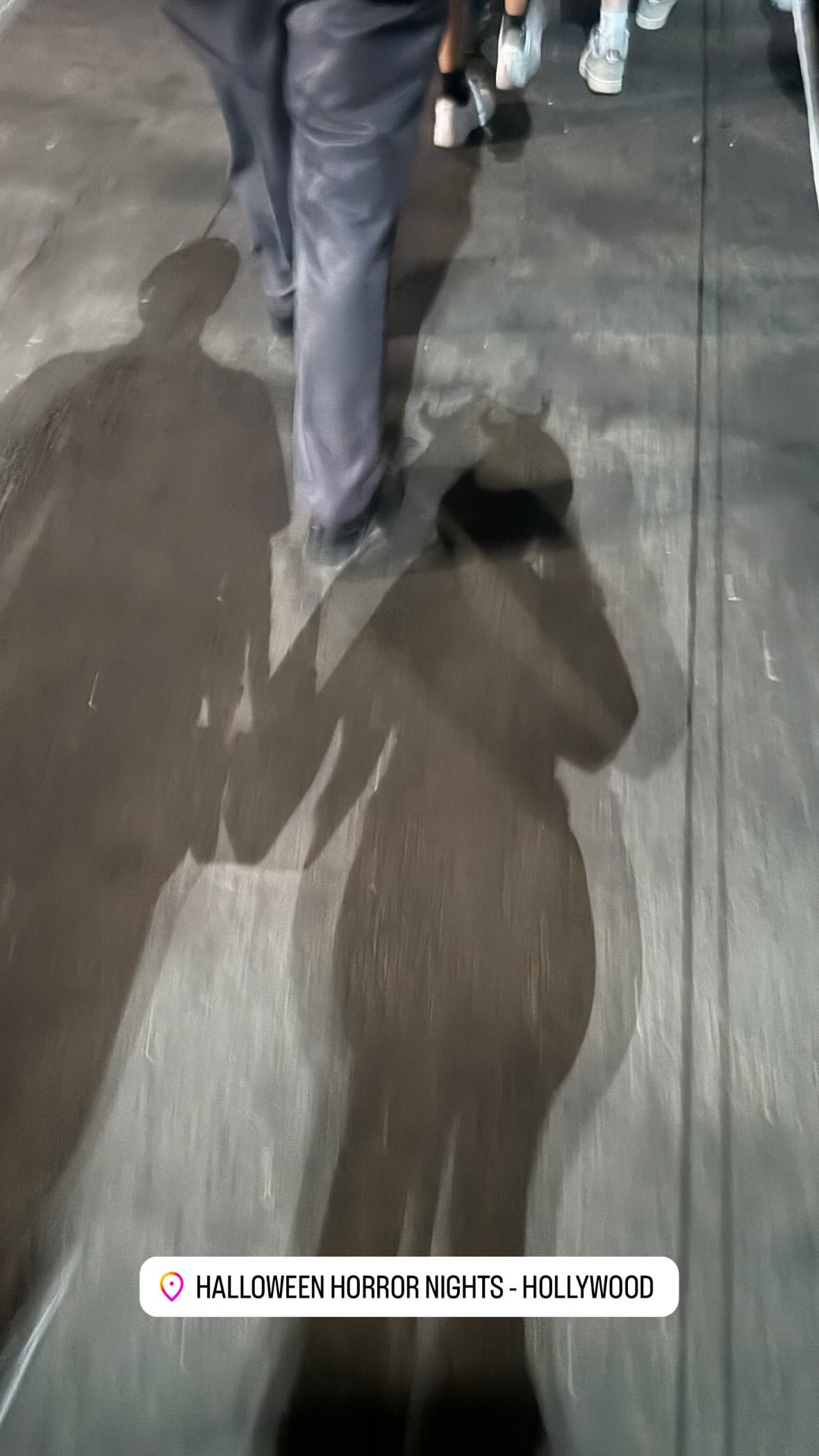 1000138571.jpg