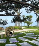 1000082010.jpg