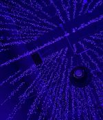 1000169097.jpg