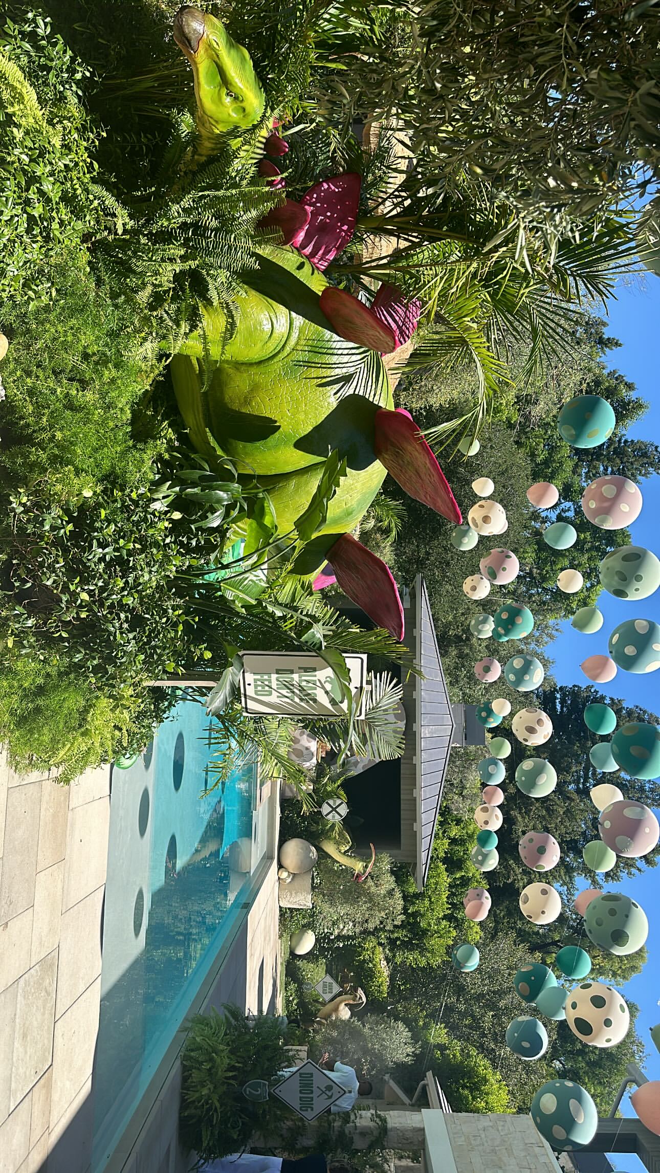 1000088508.jpg