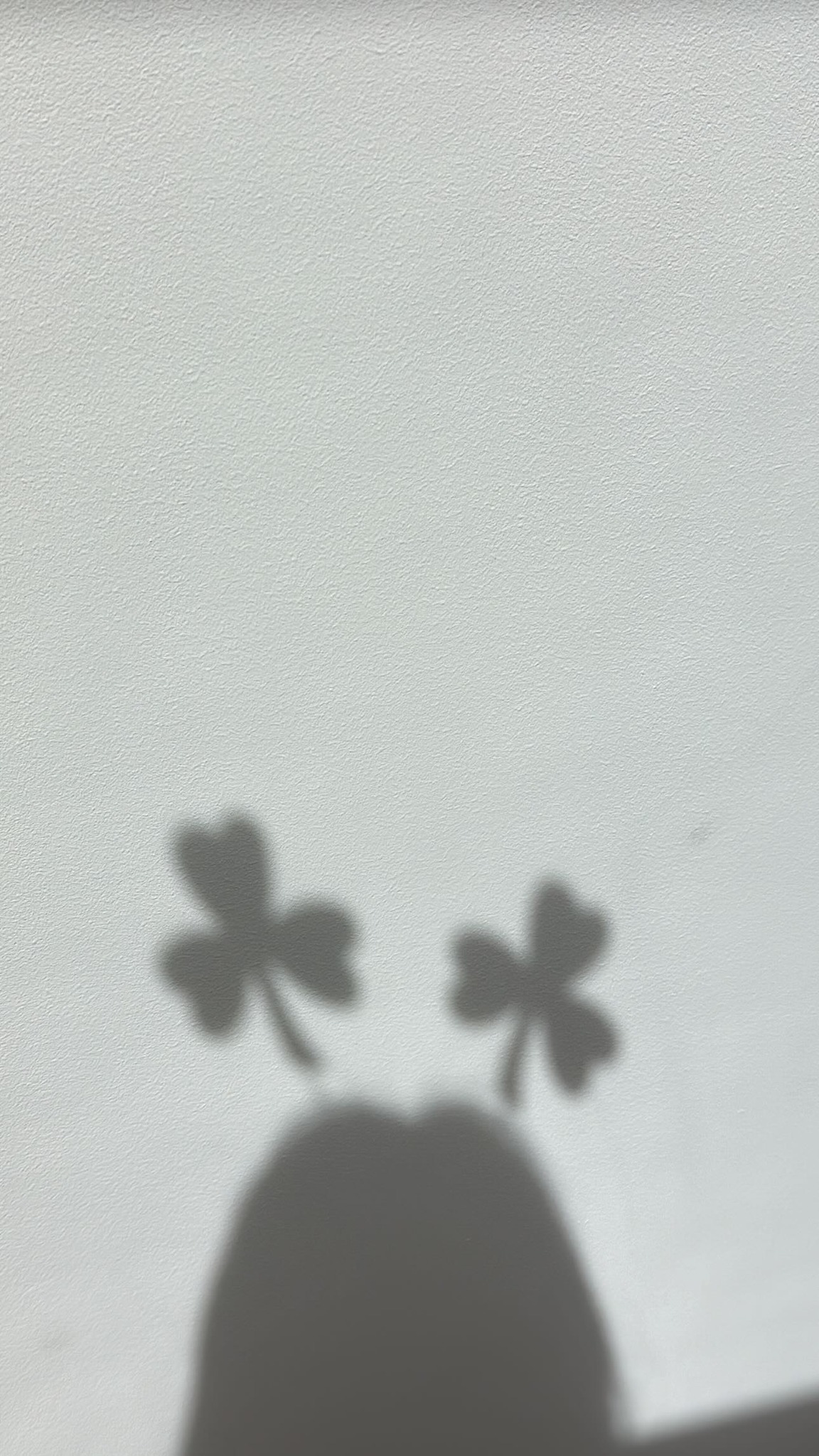 432644181_18519335761048326_7767443505797851202_n.jpg