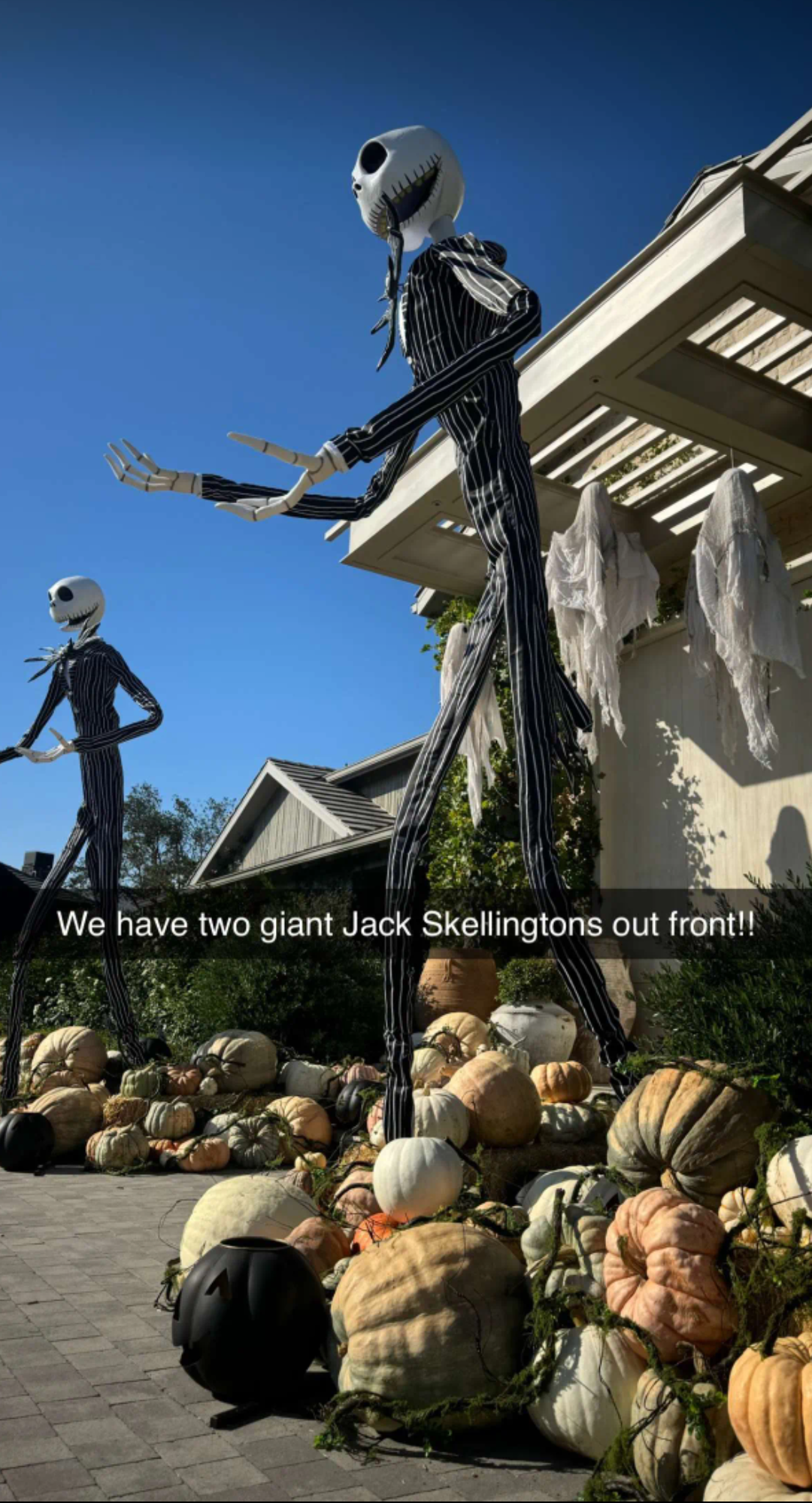 1000194905.png