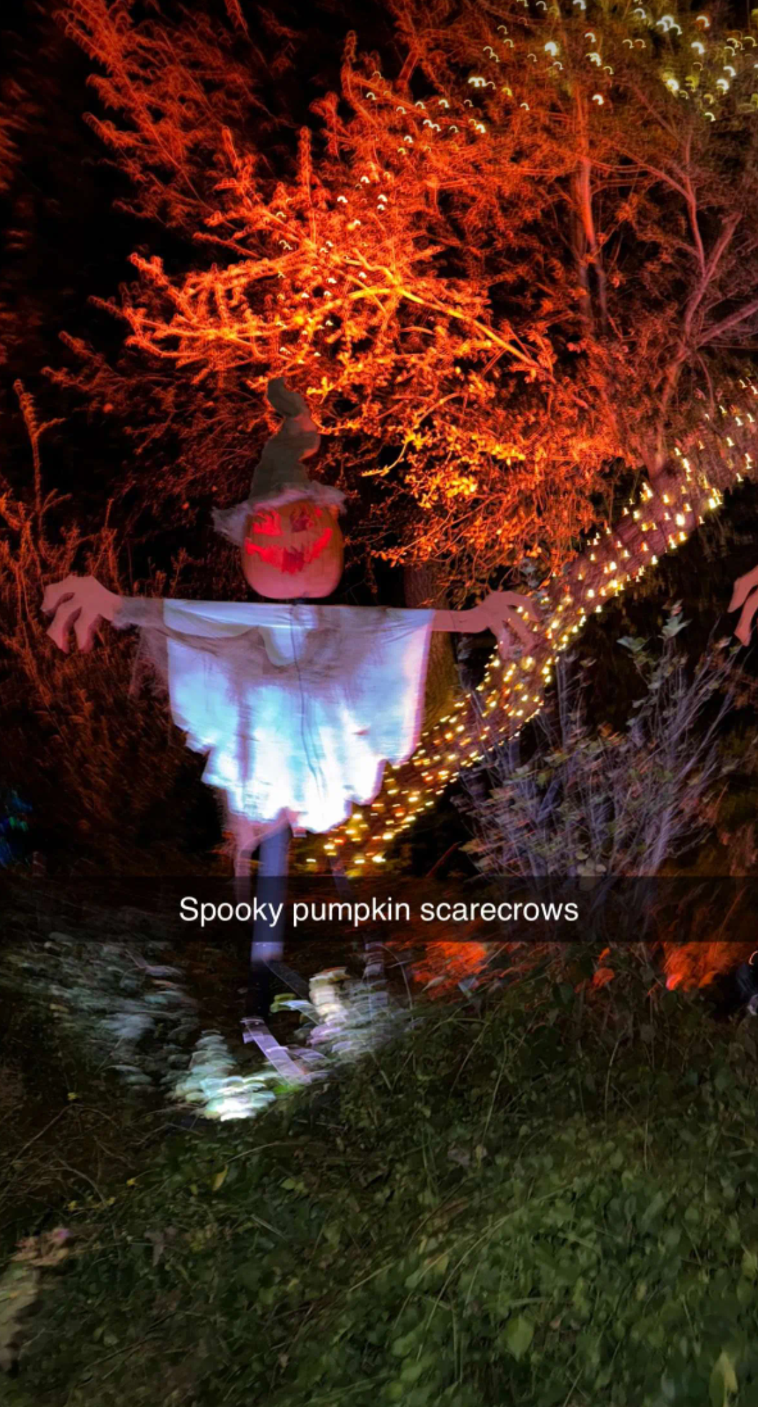 1000199586.png
