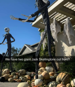 1000194905.png