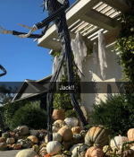 1000194906.png