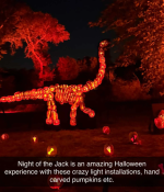 1000199582.png