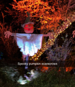 1000199586.png