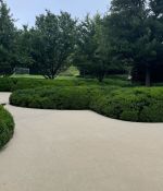 1000064391.jpg