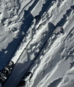 IMG_0198.jpeg