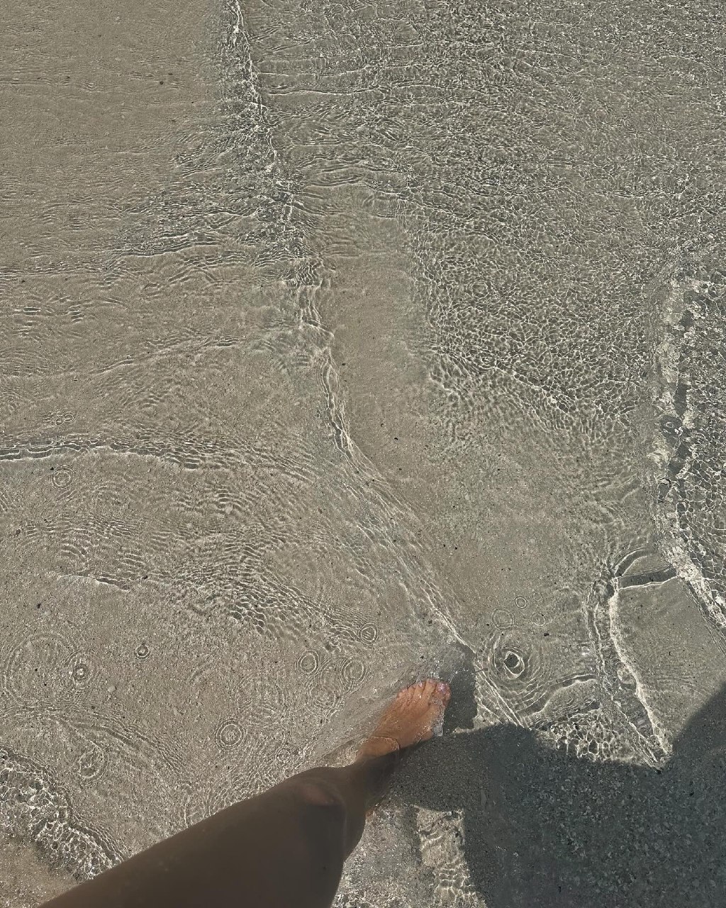 1000040207.jpg