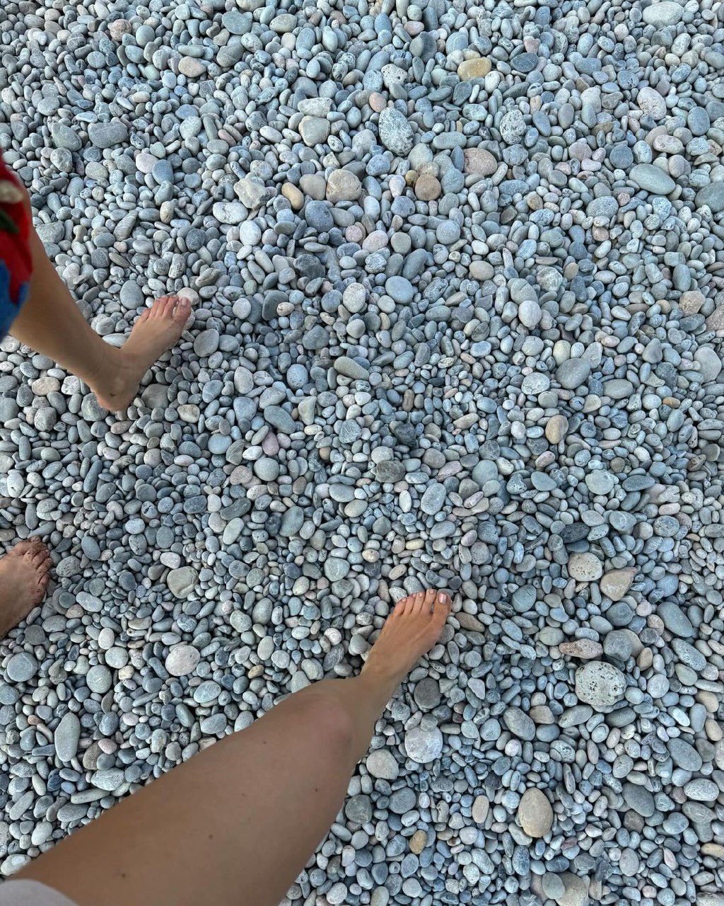 1000062185.jpg