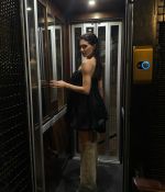 IMG_2228.jpeg