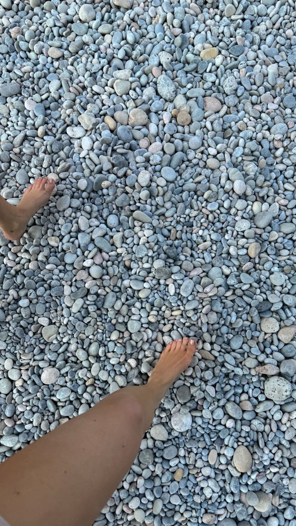 1000062188.jpg